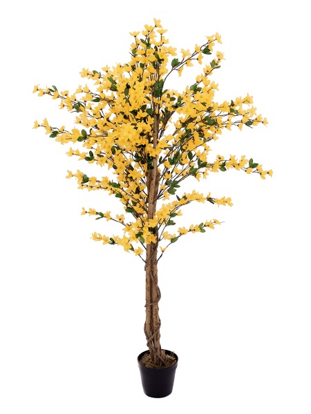EUROPALMS Forsythienbaum mit 3 Stämmen, Kunstpflanze, gelb, 150cm