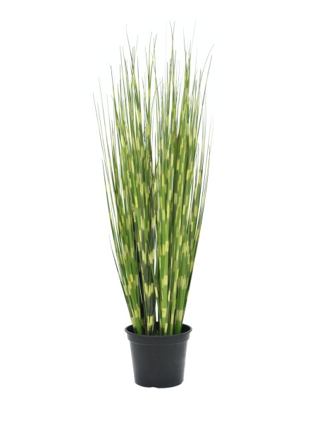EUROPALMS Zebragras, künstlich, 90cm