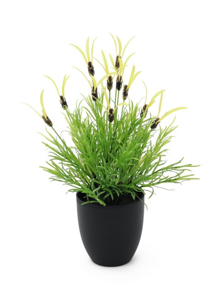 EUROPALMS Federlattich, künstlich, 40cm