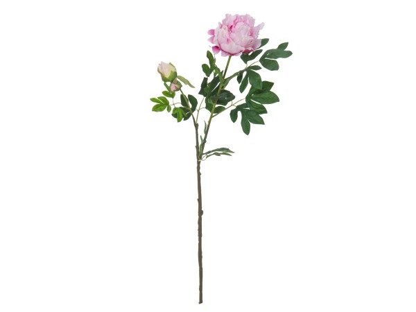 EUROPALMS Pfingstrosenzweig Premium, Kunstpflanze, pink, 100cm