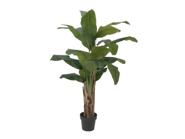 EUROPALMS Bananenbaum, Kunstpflanze, 120cm