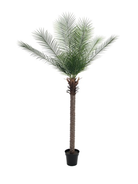 EUROPALMS Phönix Palme deluxe, Kunstpflanze 220cm