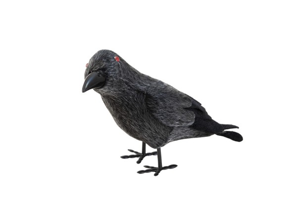 EUROPALMS Halloween Rabe, 18cm