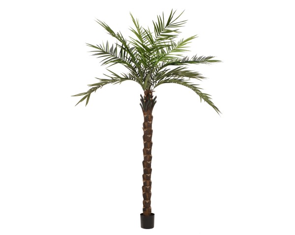 EUROPALMS Kentia Palme deluxe, Kunstpflanze 300cm