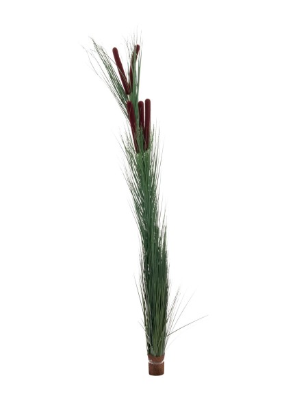 EUROPALMS Schilfgras mit Kolben, künstlich, dunkelgrün, 152cm