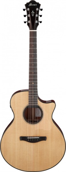 Ibanez AE410-LGS Akustikgitarre Aussteller